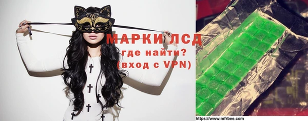 индика Алексин