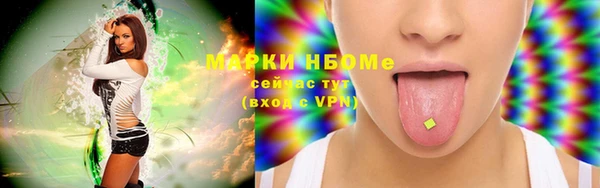 индика Алексин