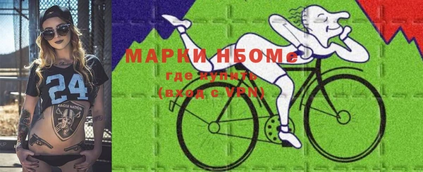 индика Алексин