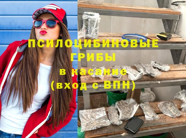 соль ск Алзамай