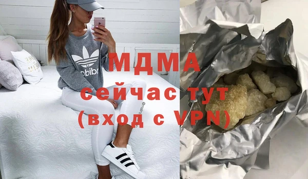 индика Алексин