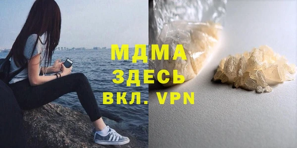 индика Алексин